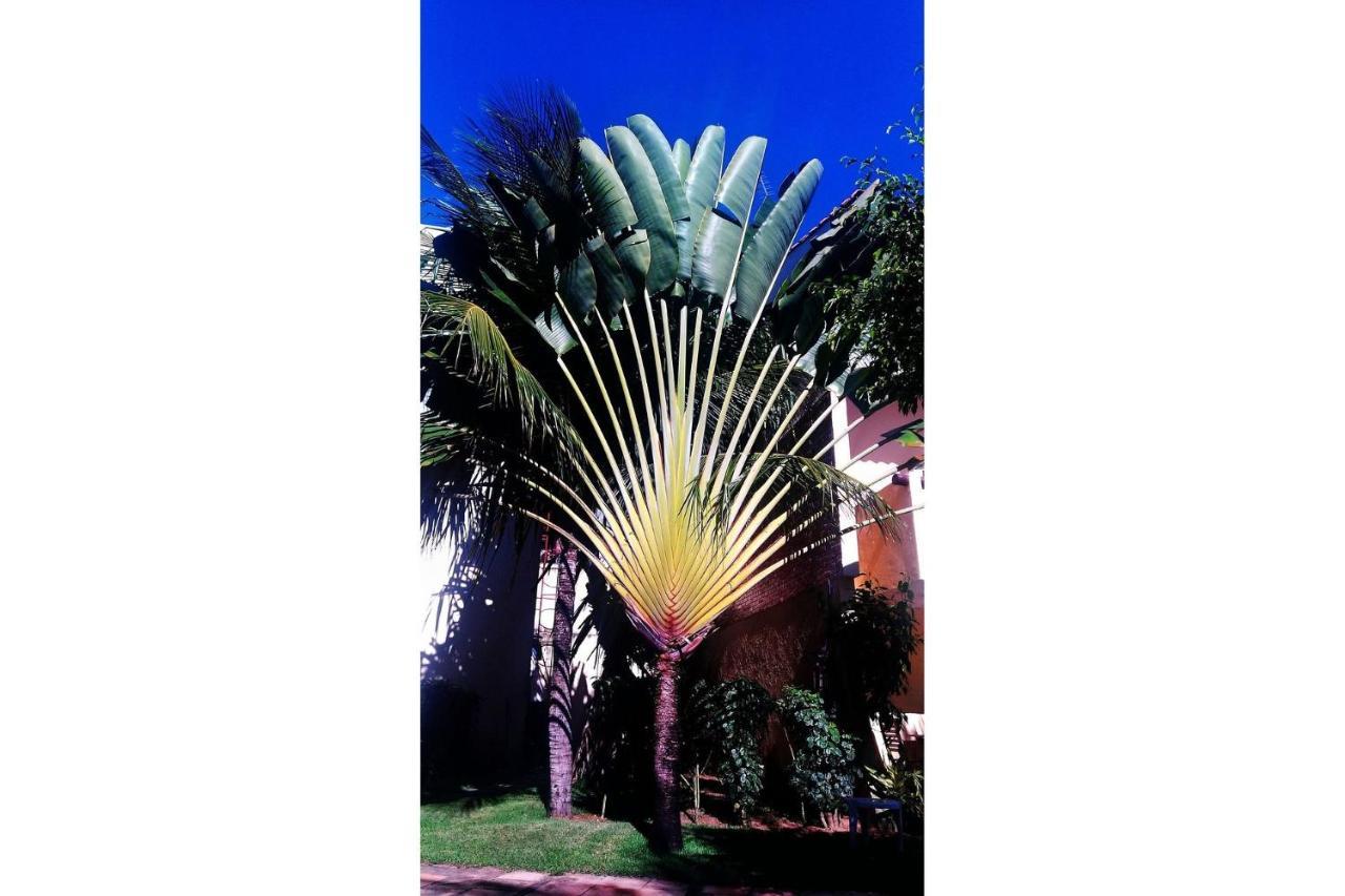 Solar De Pipa Duplex Flat Apartman Praia de Pipa Kültér fotó